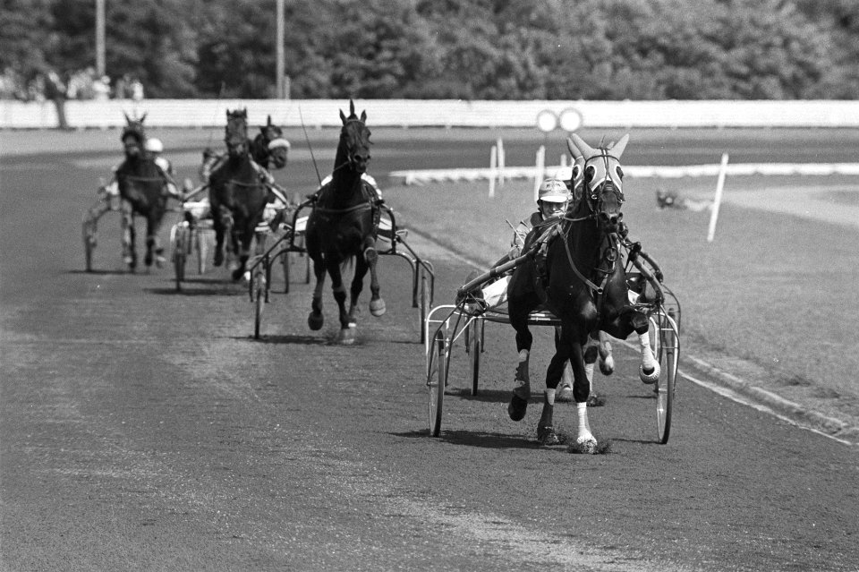 Paardenraces Hilversum dravers Gold Cup , Speedy Volit gereden door Gommers win, Bestanddeelnr 929-7669