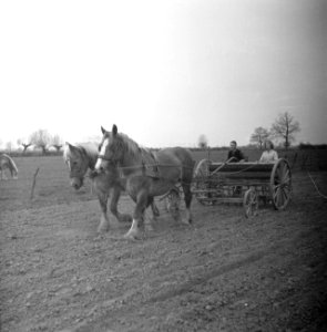Paard-en-wagen op het land, Bestanddeelnr 252-1975