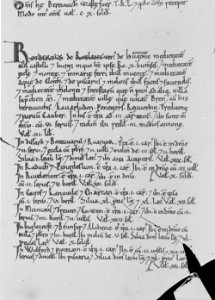 Page from the Domesday book manuscripts (1294434)