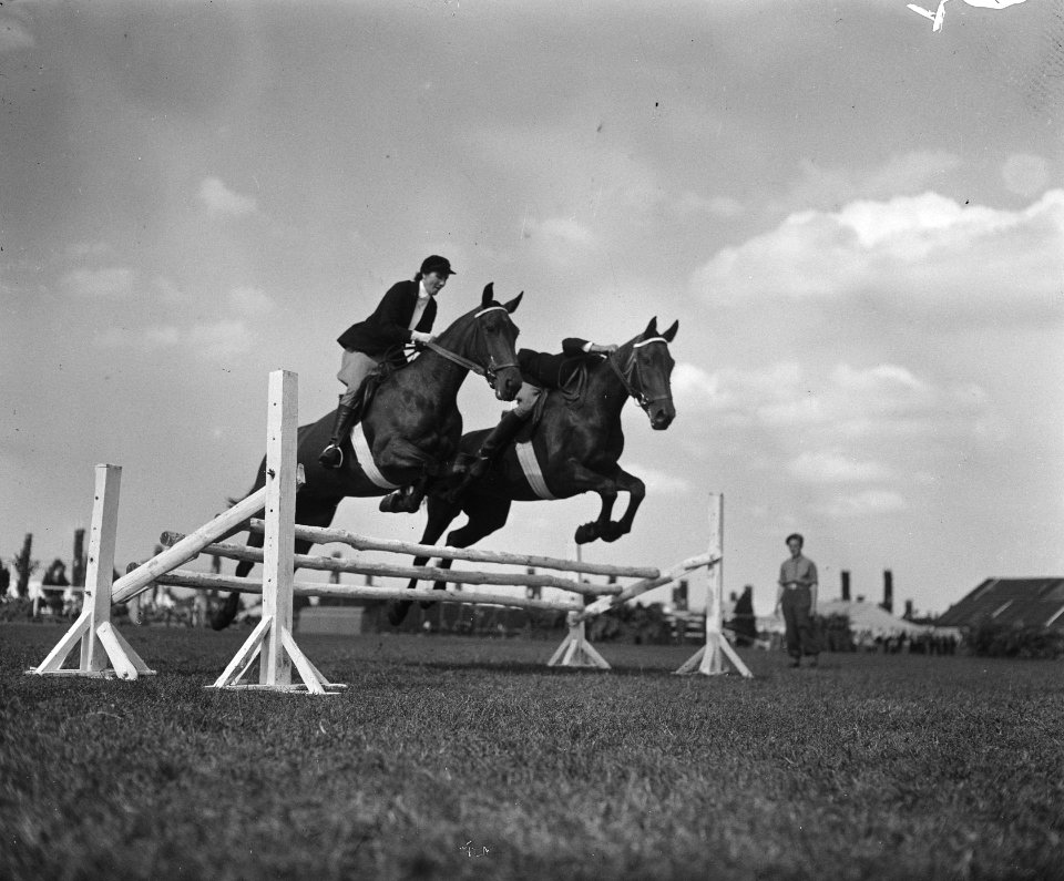 Paardenconcours Zwolle, Bestanddeelnr 902-3030