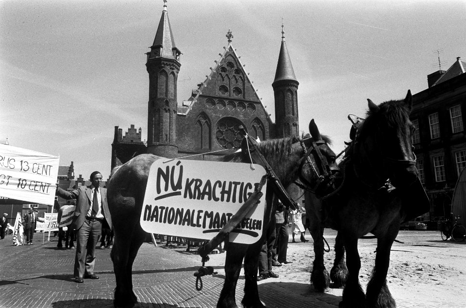 Paarden met spandoeken op het Binnenhof, Bestanddeelnr 927-9915