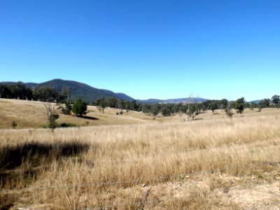 Paddocks Glenfern Queensland