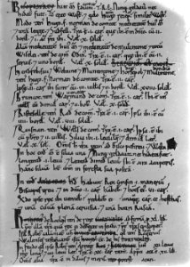 Page from the Domesday book manuscripts (1294298)