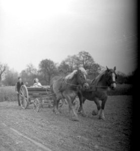 Paard-en-wagen op het land, Bestanddeelnr 252-1976