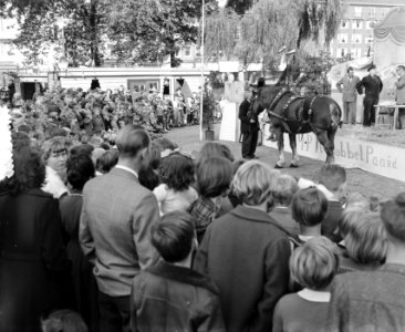 Paardendag Amsterdam, Bestanddeelnr 905-9819