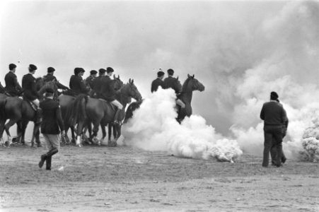 Paarden oefenen op strand Scheveningen voor Prinsjesdag, Bestanddeelnr 933-0796