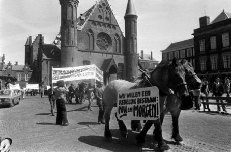 Paarden met een spandoek op het Binnenhof, Bestanddeelnr 927-9910