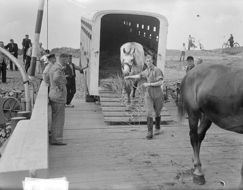 Paardenvervoer Tielse Veer, Bestanddeelnr 903-5715