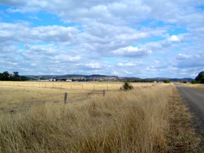 Paddocks Coolana