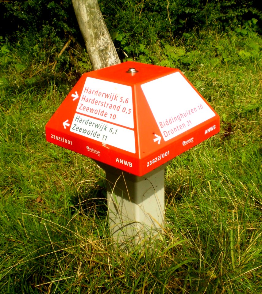 Paddenstoel Harderbos