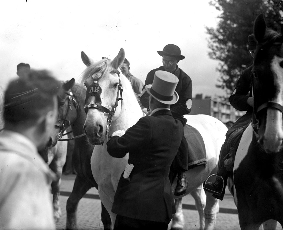 Paardenparade. Overzicht Munt, Bestanddeelnr 902-8052