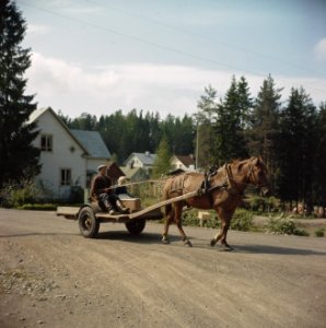Paard en wagen in fins dorp, Bestanddeelnr 254-7421