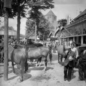 Paardemarkt in Beusichem, Bestanddeelnr 912-6030
