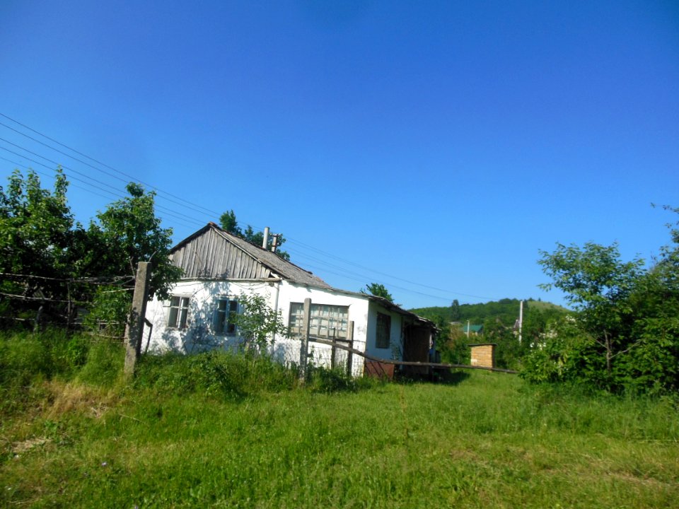 Ovrazhki 10