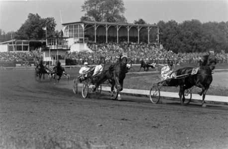Paardenraces op Duindigt te Den Haag, Bestanddeelnr 915-2180