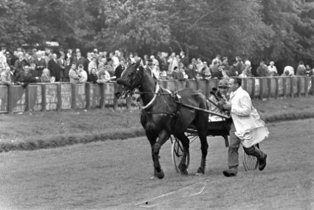 Paard en pikeur worden op de baan begeleid, Bestanddeelnr 921-7249