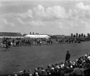 Paardenconcours Zwolle, Bestanddeelnr 902-3029