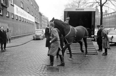 Paarden voor de koets, aangekomen bij de Heineken Brouwerij, Bestanddeelnr 918-8483