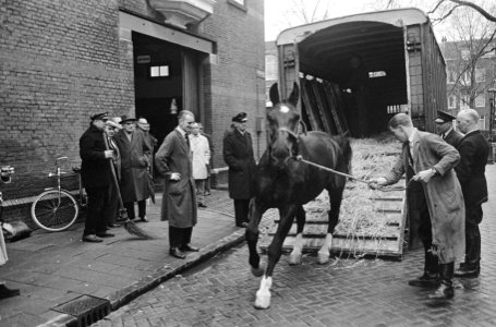 Paarden voor de koets, aangekomen bij de Heineken Brouwerij, Bestanddeelnr 918-8482