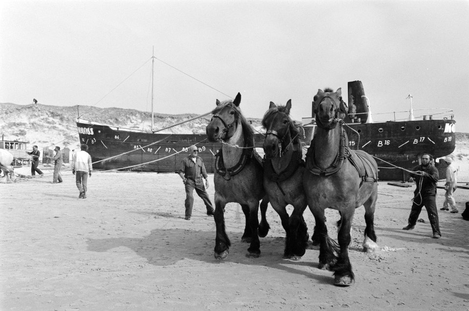 Paarden moeten een schip uiteen trekken, Bestanddeelnr 934-4921