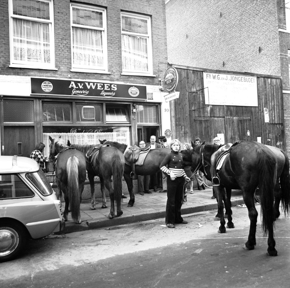 Paarden vooreen café, Bestanddeelnr 926-8021