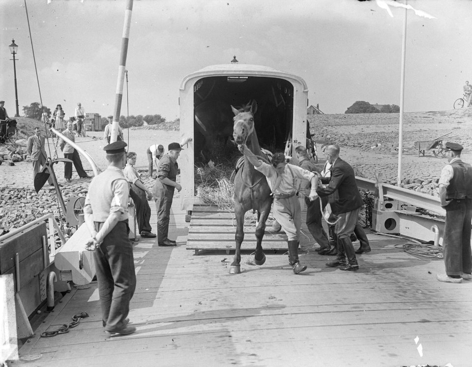 Paardenvervoer Tielse Veer, Bestanddeelnr 903-5713