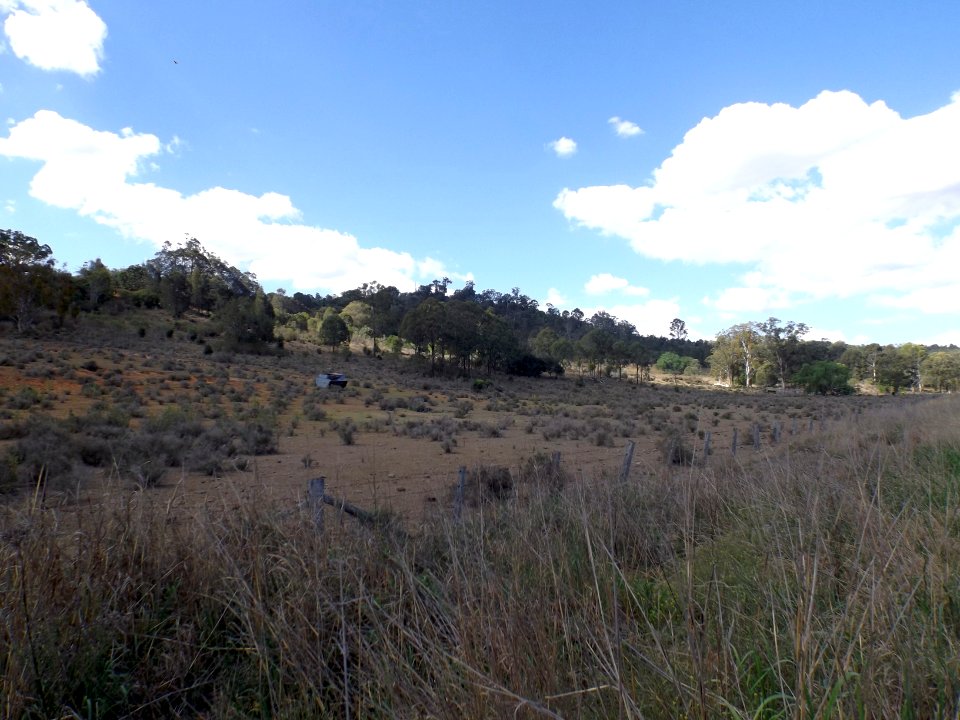 Paddock at Groomsville