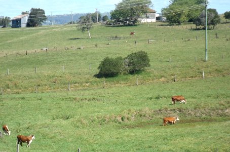 Paddocks along Kents Pocket Road at Templin Queensland 2 photo