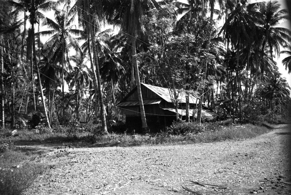 Padang bij kampong Ampang vernielden de Republikeinen de telefoonverbindingen e, Bestanddeelnr 4600
