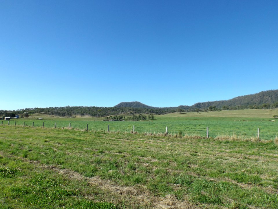 Paddocks at Christmas Creek