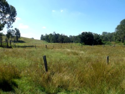 Paddocks along The Hollows Road at Josephville, Queensland photo