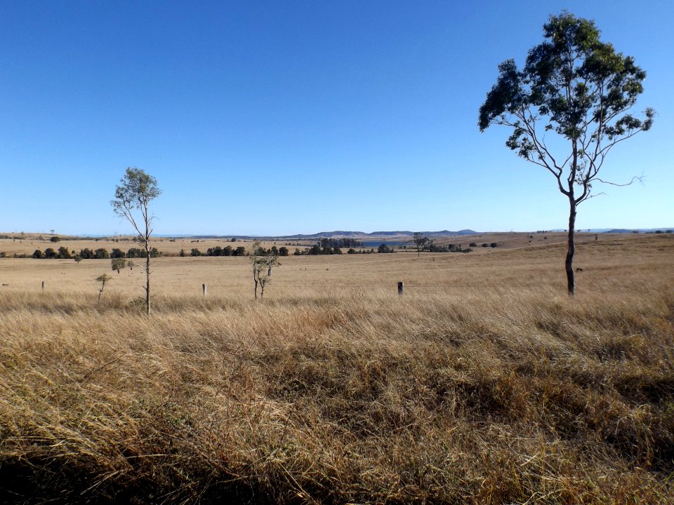 Paddocks Bryden Queensland