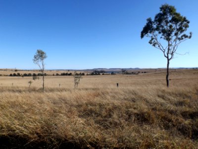 Paddocks Bryden Queensland