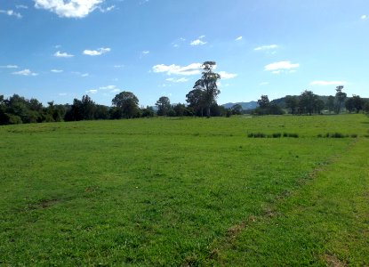 Paddocks along Mount Alford Road at Frenches Creek, Queensland photo