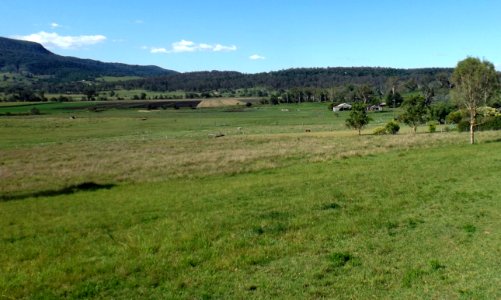 Paddocks at Bunjurgen, Queensland photo