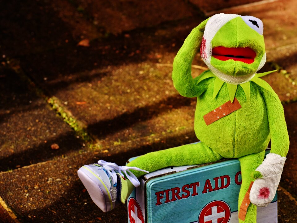 Association blood frog