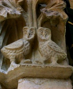 Owls, Lincoln Cathedral