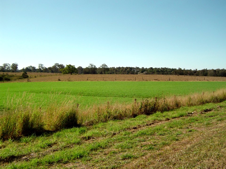Paddocks along Waterford Tamborine Road Logan Village