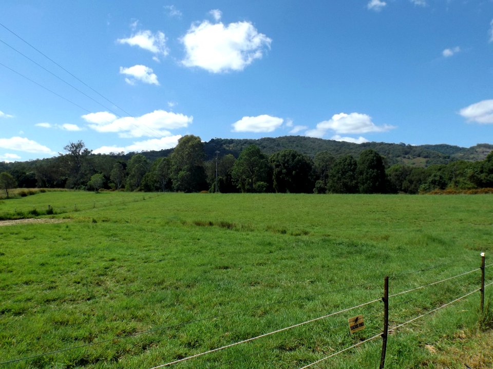 Paddocks along Chardon Bridge Road at Cedar Creek, Queensland