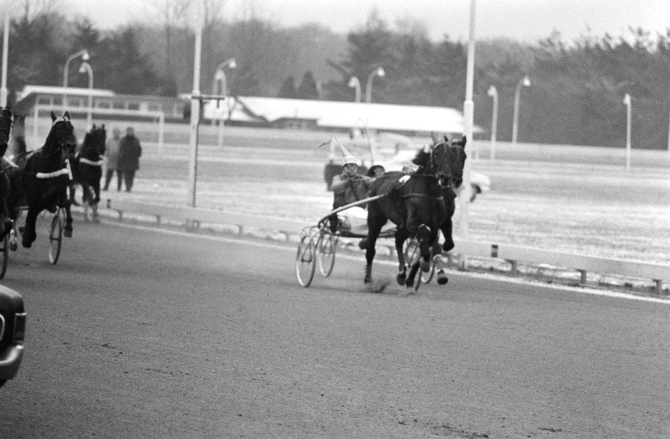 Paardenkoers Grote kerstprijs te Hilversum, Bestanddeelnr 924-1281