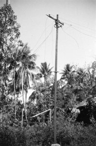 Padang bij kampong Ampang vernielden de Republikeinen de telefoonverbindingen e, Bestanddeelnr 4599