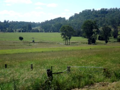 Paddocks along Tally Ho Road at Josephville, Queensland 2