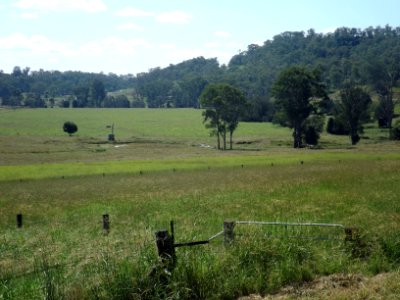 Paddocks along Tally Ho Road at Josephville, Queensland 2 photo