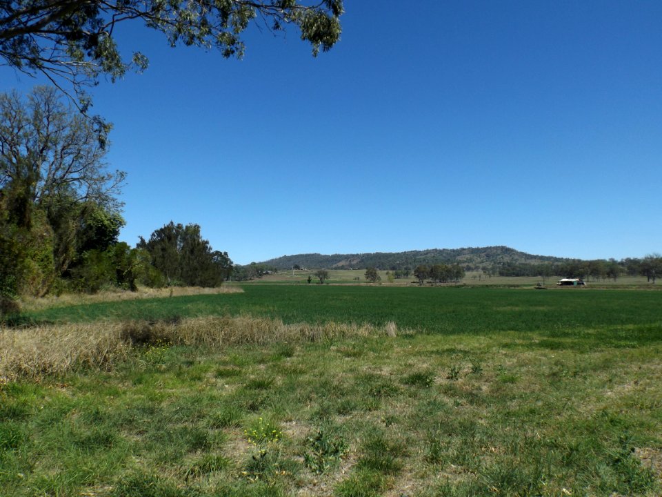 Paddocks at Kerry by Albert River