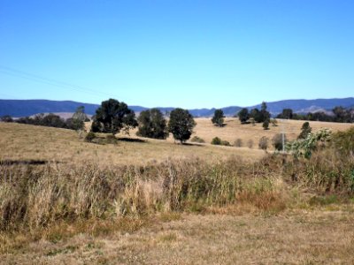 Paddocks Woolmar Queensland