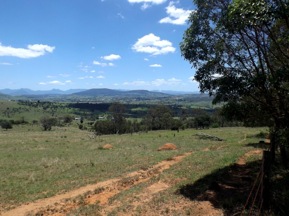 Paddocks at Allandale, Queensland