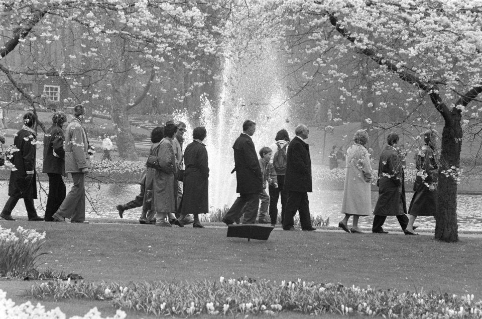 Paasdrukte op Keukenhof, Bestanddeelnr 934-2224