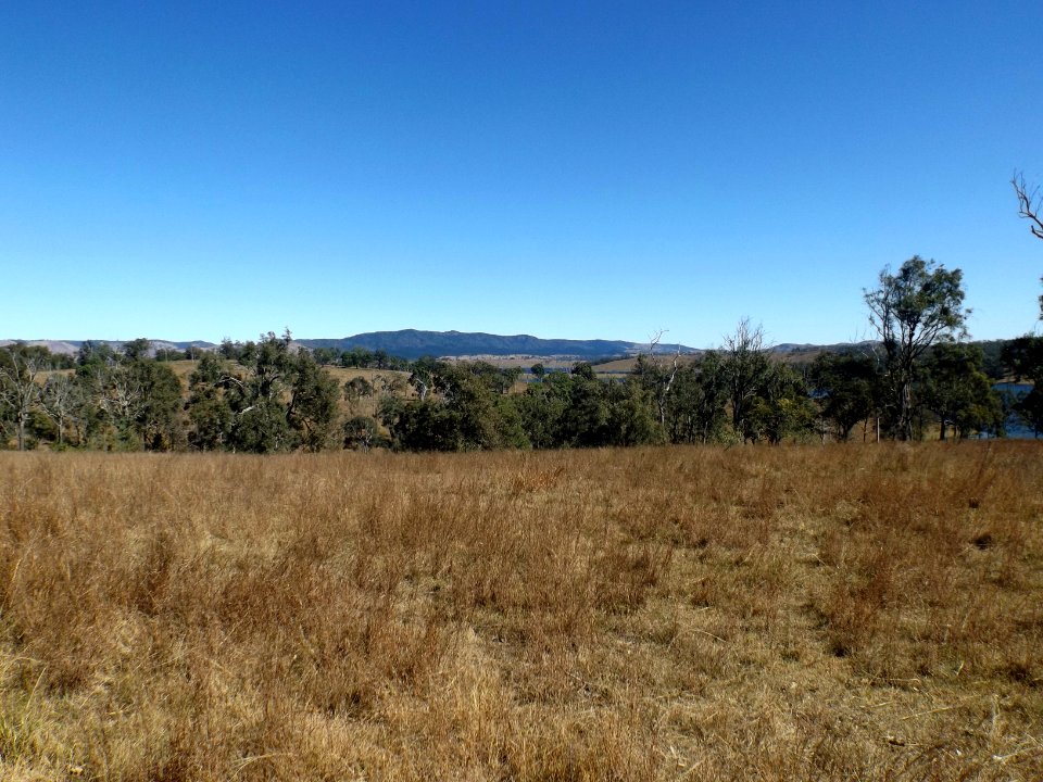 Paddocks 2 Glenfern Queensland