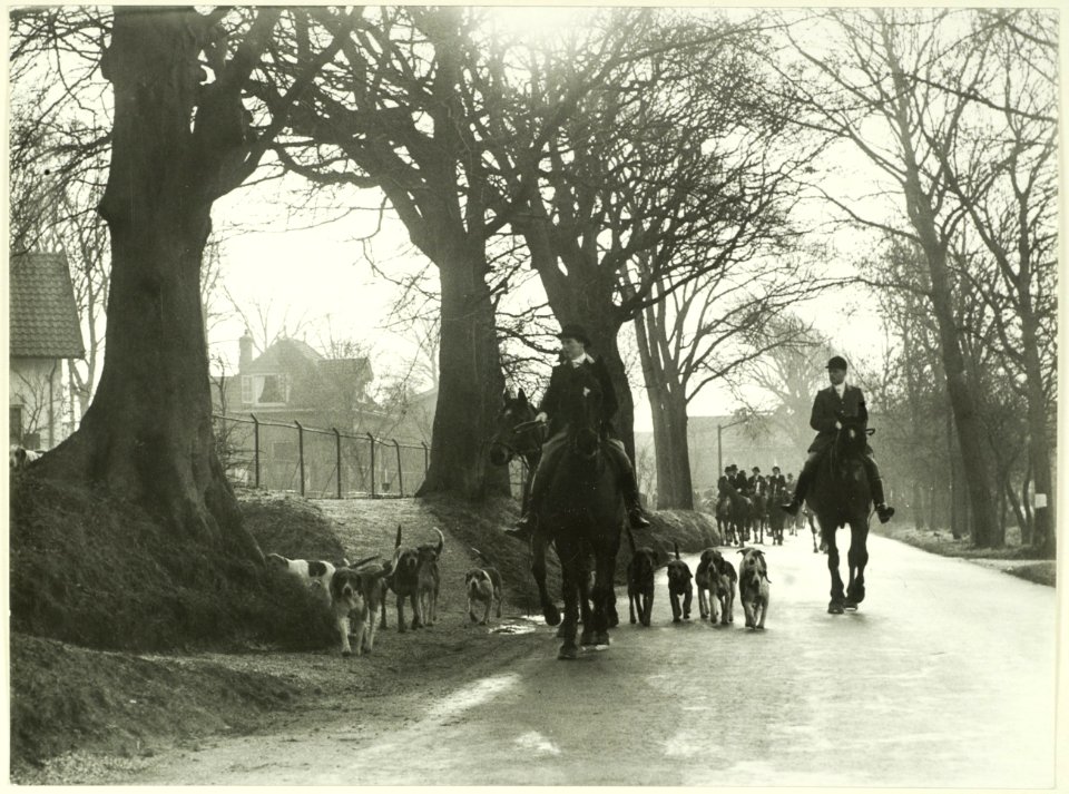 Paardensport, NL-HlmNHA 5400466966