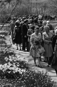 Paasdrukte op Keukenhof, Bestanddeelnr 928-5286